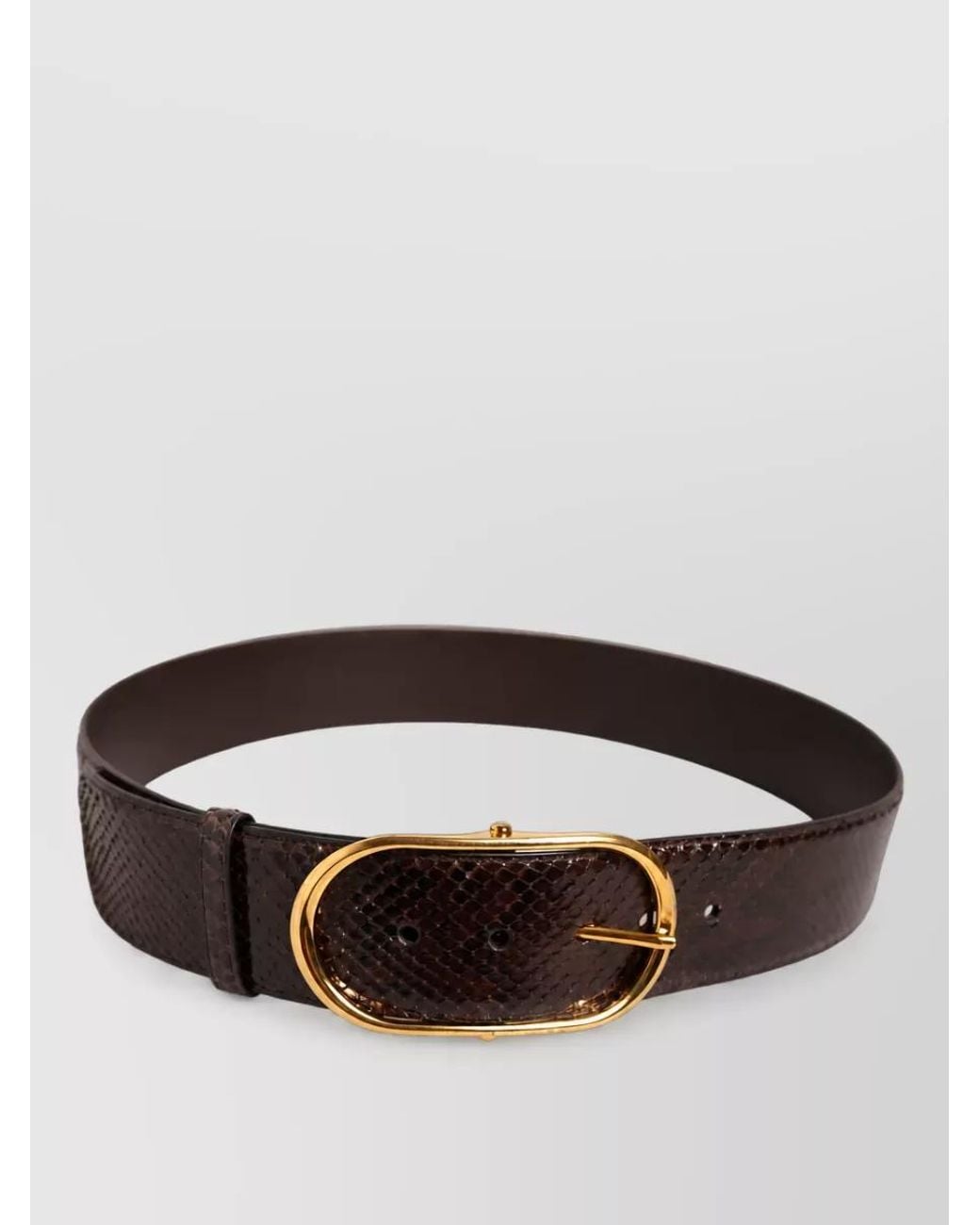 Dolce & Gabbana Brown Python Leather Belt