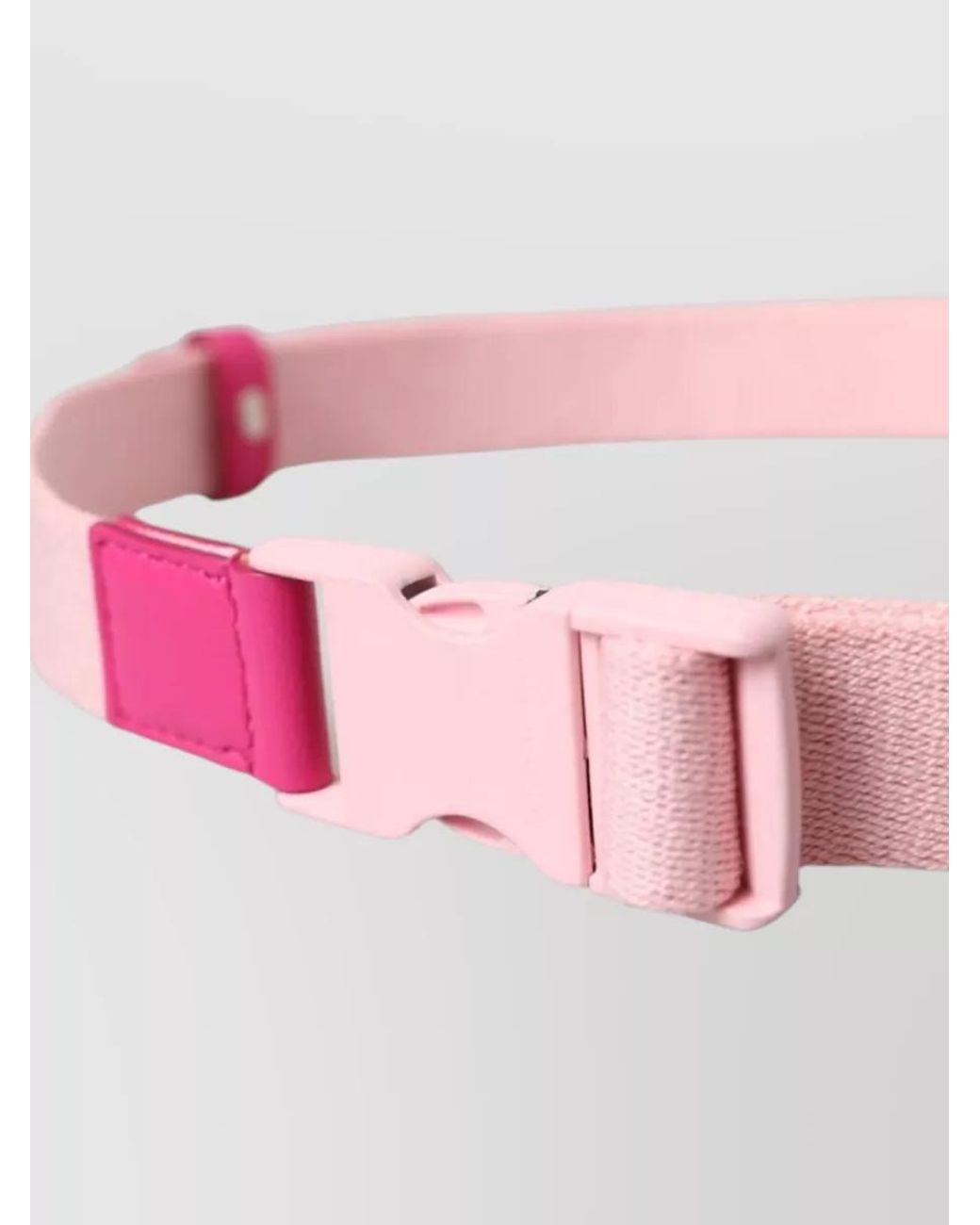 Dolce & Gabbana Pink Canvas Belt