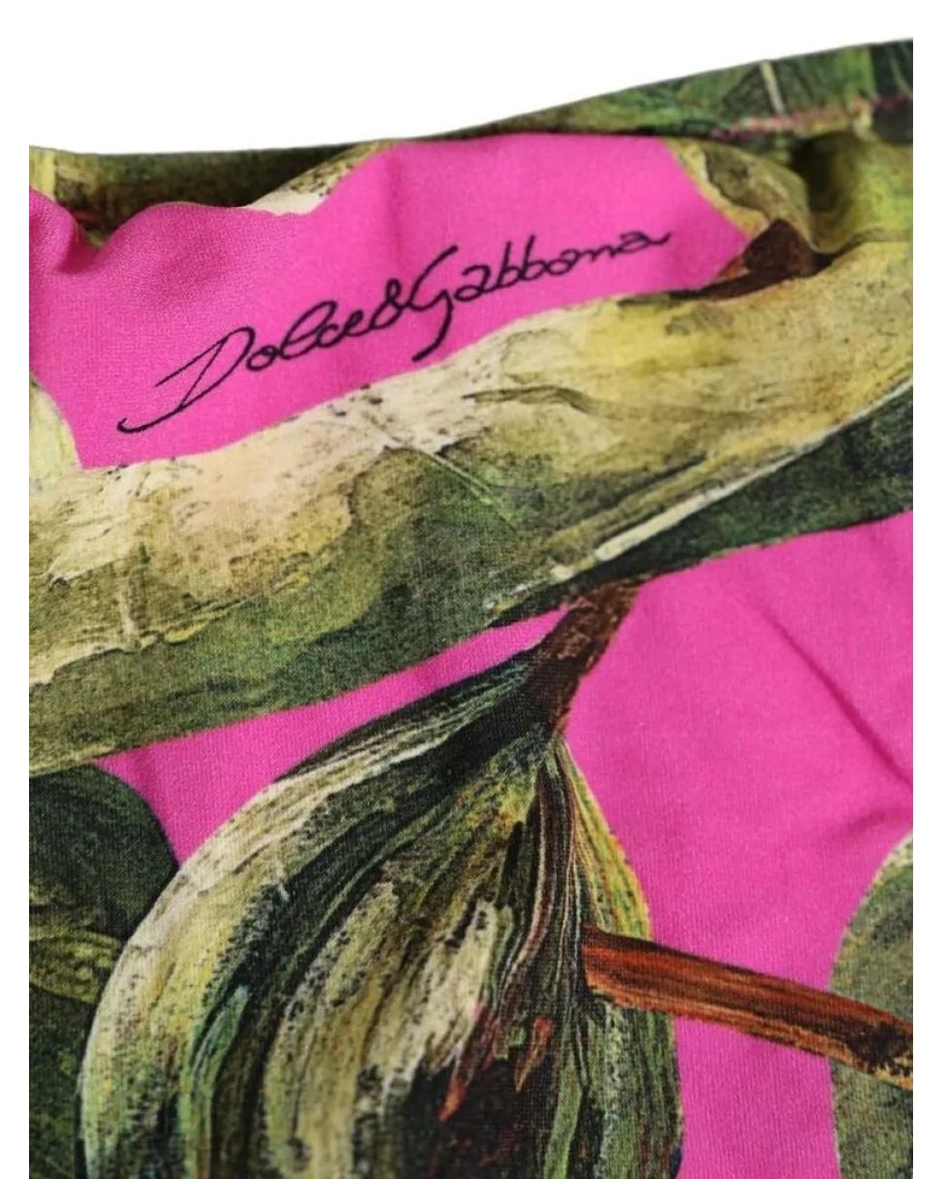 Dolce & Gabbana Pink Fig Print Bikini Briefs