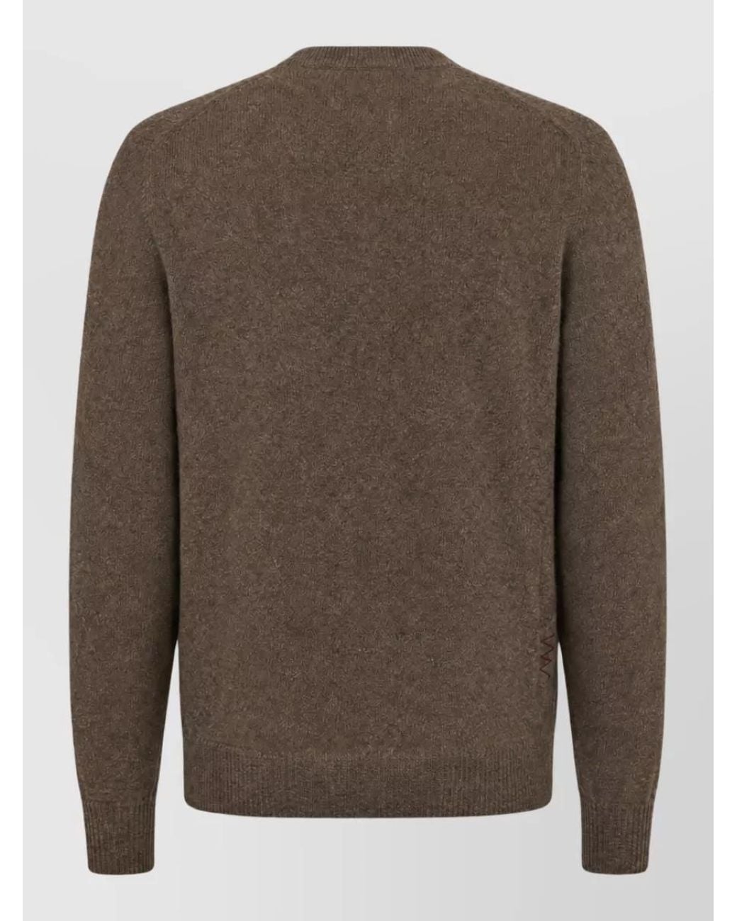Amaranto Brown Jumper for men