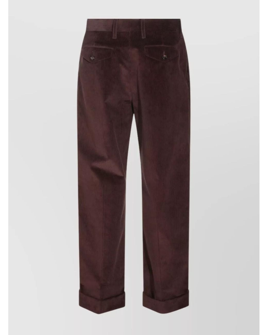 Burberry Brown Trousers _Co for men
