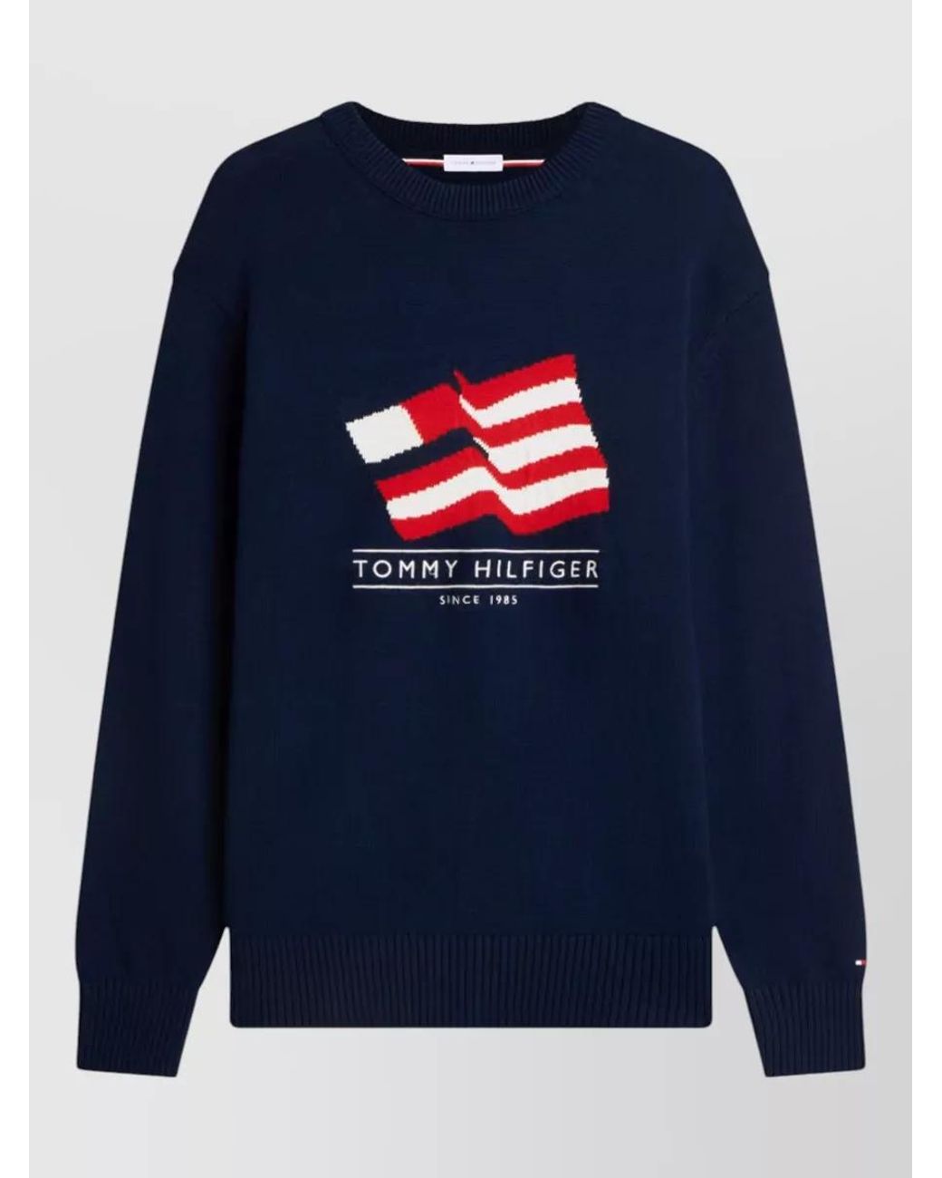 Tommy Hilfiger Blue Cotton Crew-Neck Jumper for men