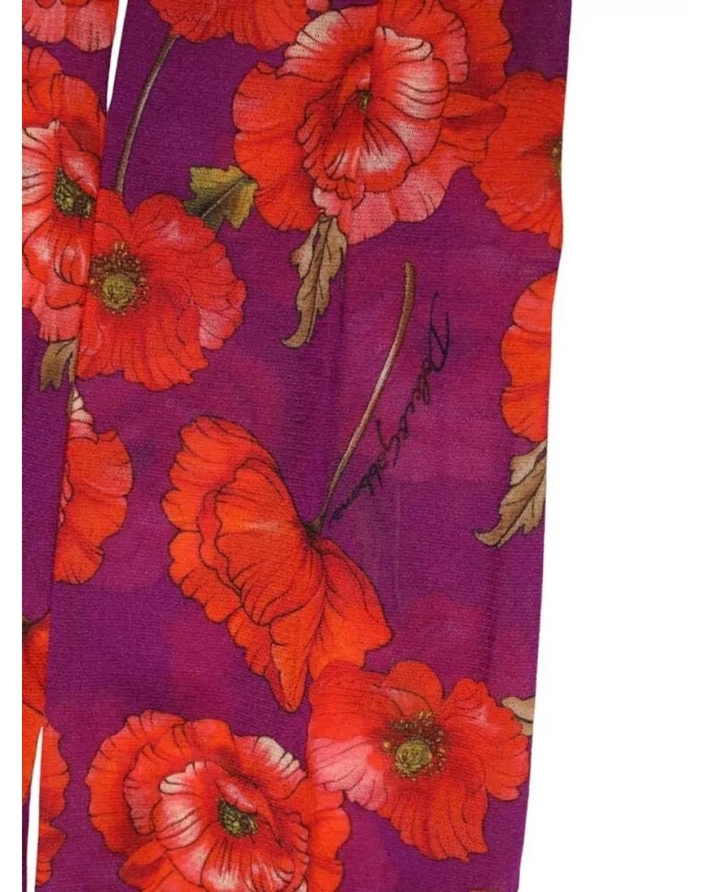 Dolce & Gabbana Red Floral Print Tights