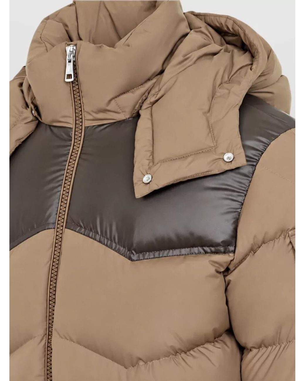Moncler Brown Hooded Down Puffer Jacket for men