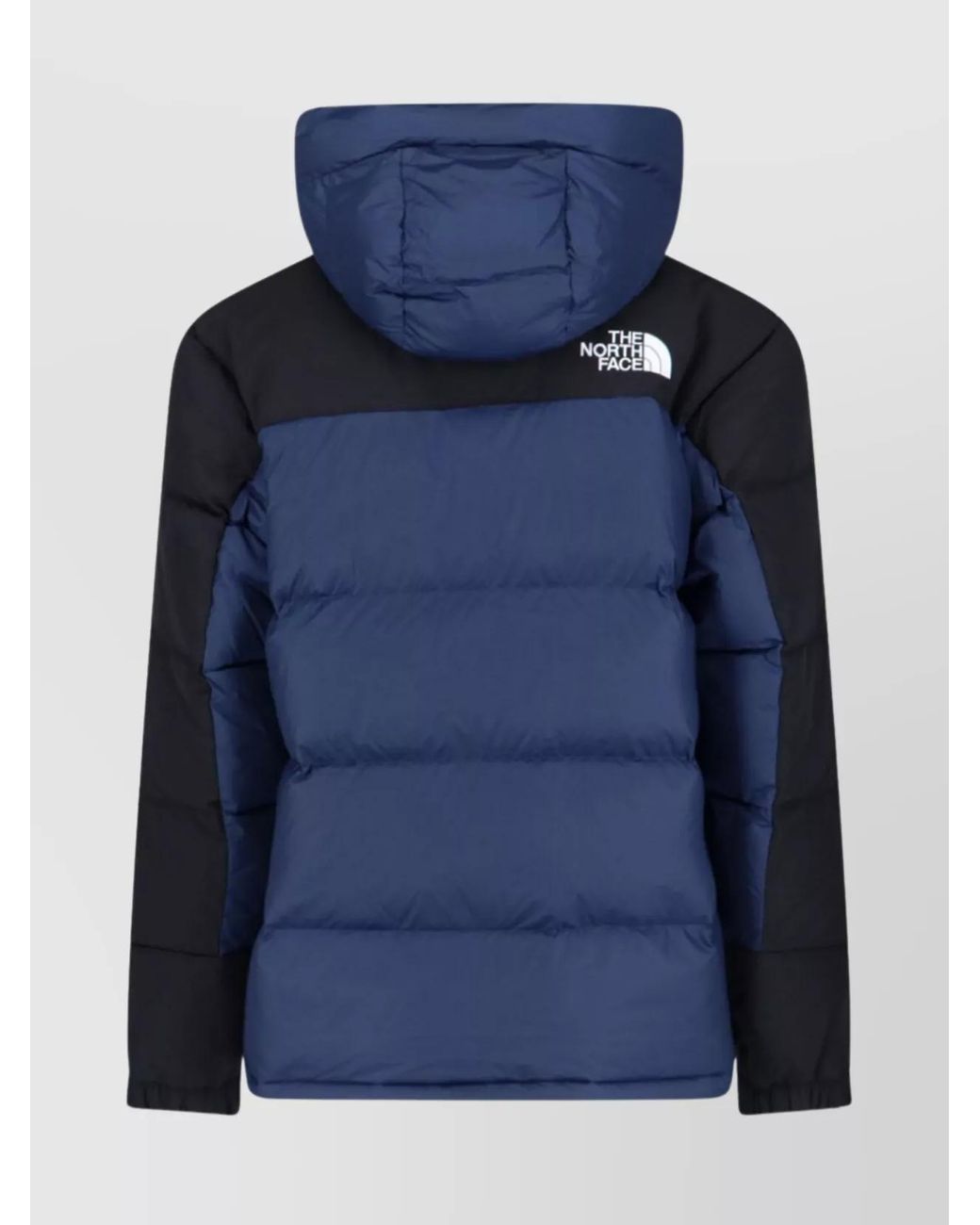 The North Face Blue Puffer Jacket for men