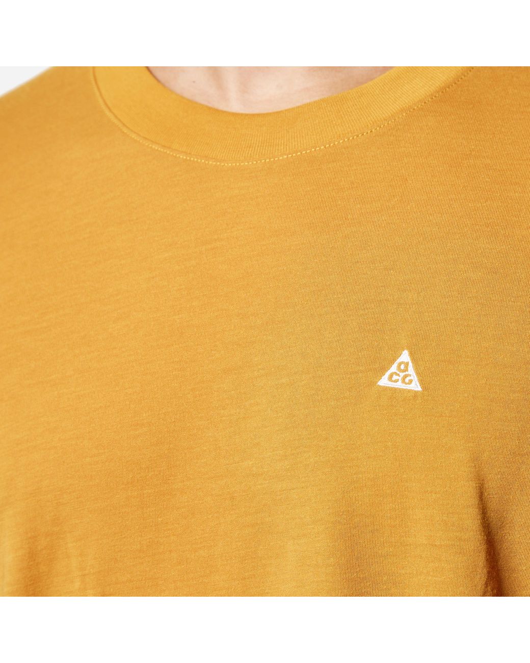 Nike Acg Goat Rocks Long Sleeve T-shirt in Metallic for Men | Lyst
