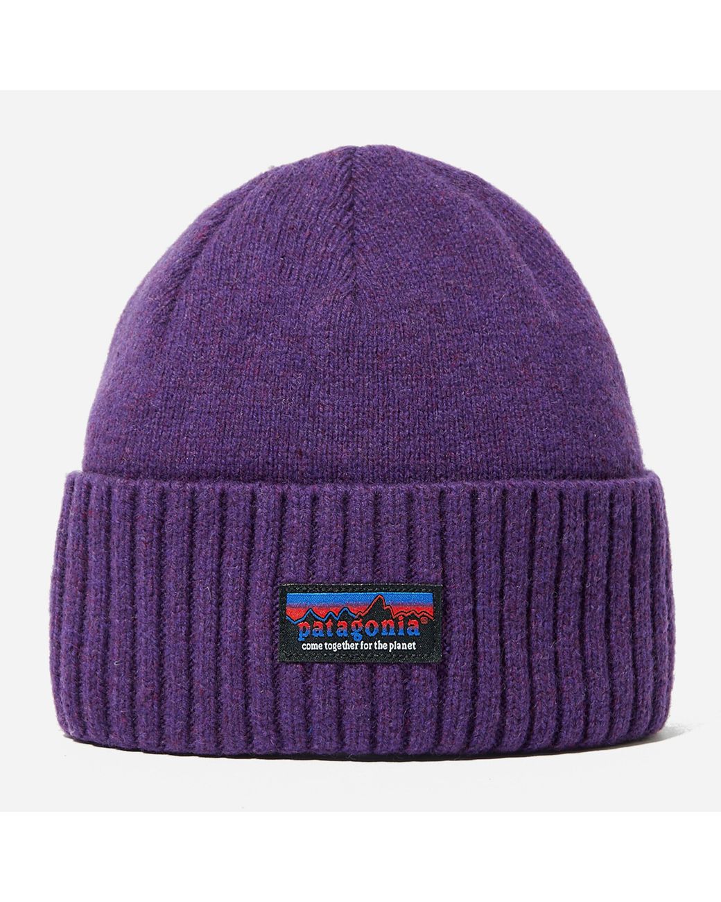 Patagonia Brodeo Beanie in Purple for 