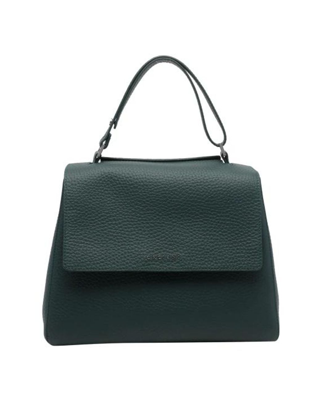 Borsa A Mano di Orciani in Green