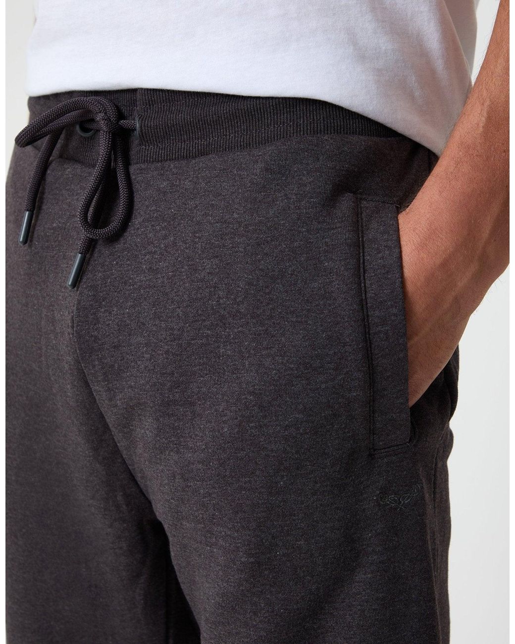 Threadbare Blue Regular Fit Joggers for men