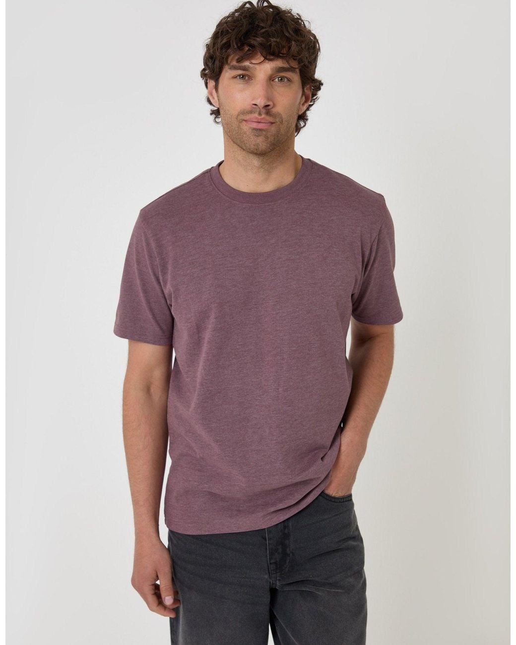 Threadbare Purple Peached Crew Neck T-Shirt for men