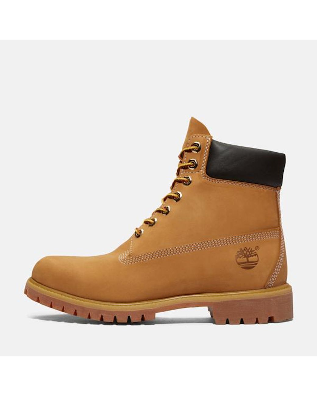 Timberland Brown Premium 6-Inch Waterproof Boot For for men
