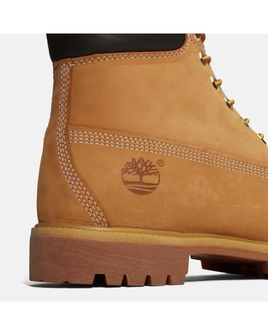 Timberland Brown Premium 6-Inch Waterproof Boot For for men