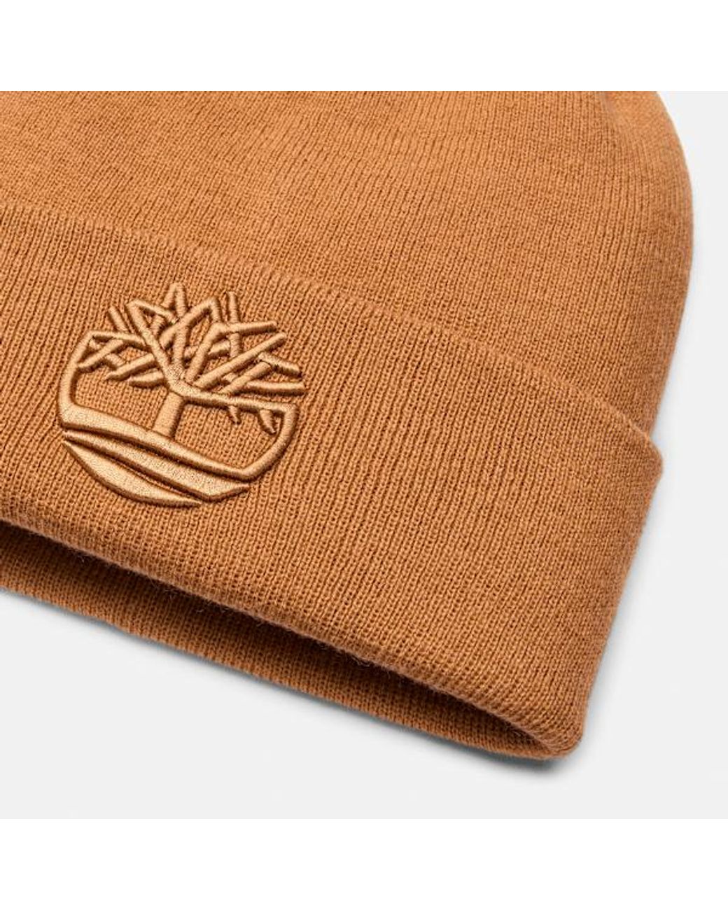 Timberland Brown 3d Embroidered Beanie In Yellow, Yellow for men