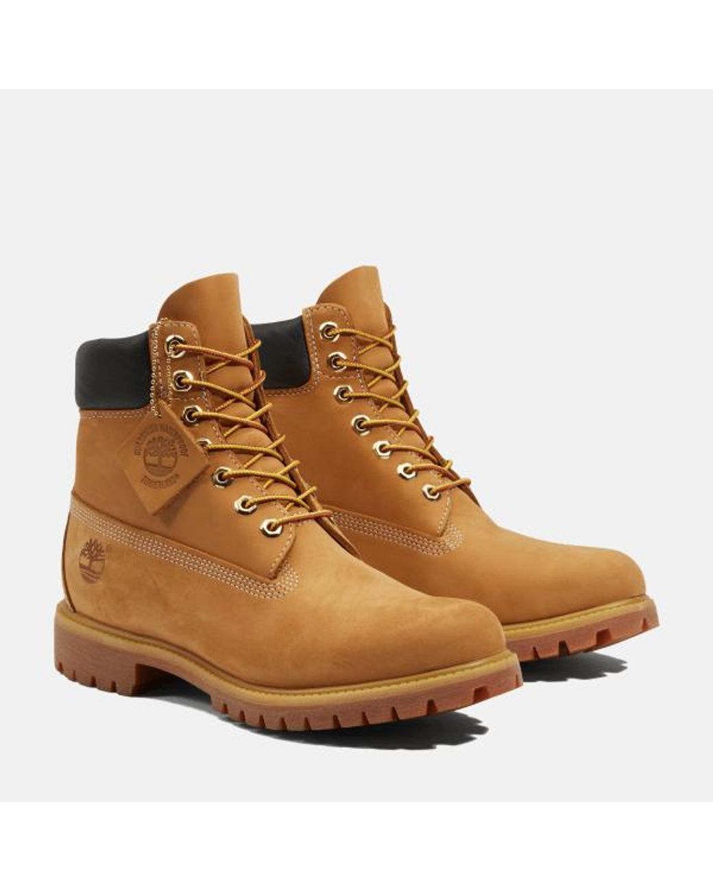 Timberland Brown Premium 6-Inch Waterproof Boot For for men