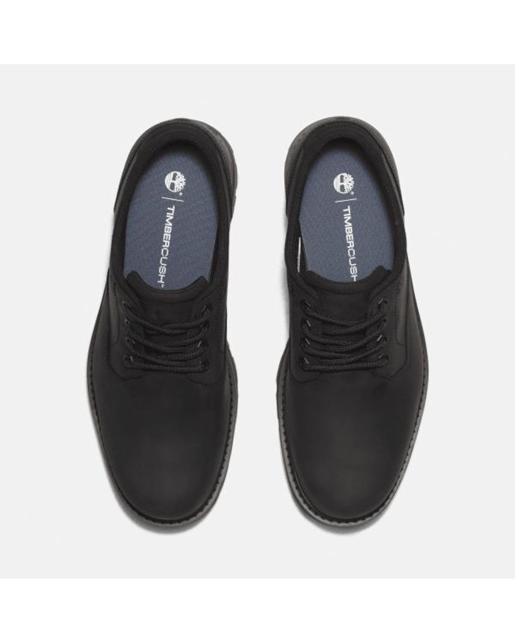 Timberland Black Britton Road Waterproof Shoe For for men