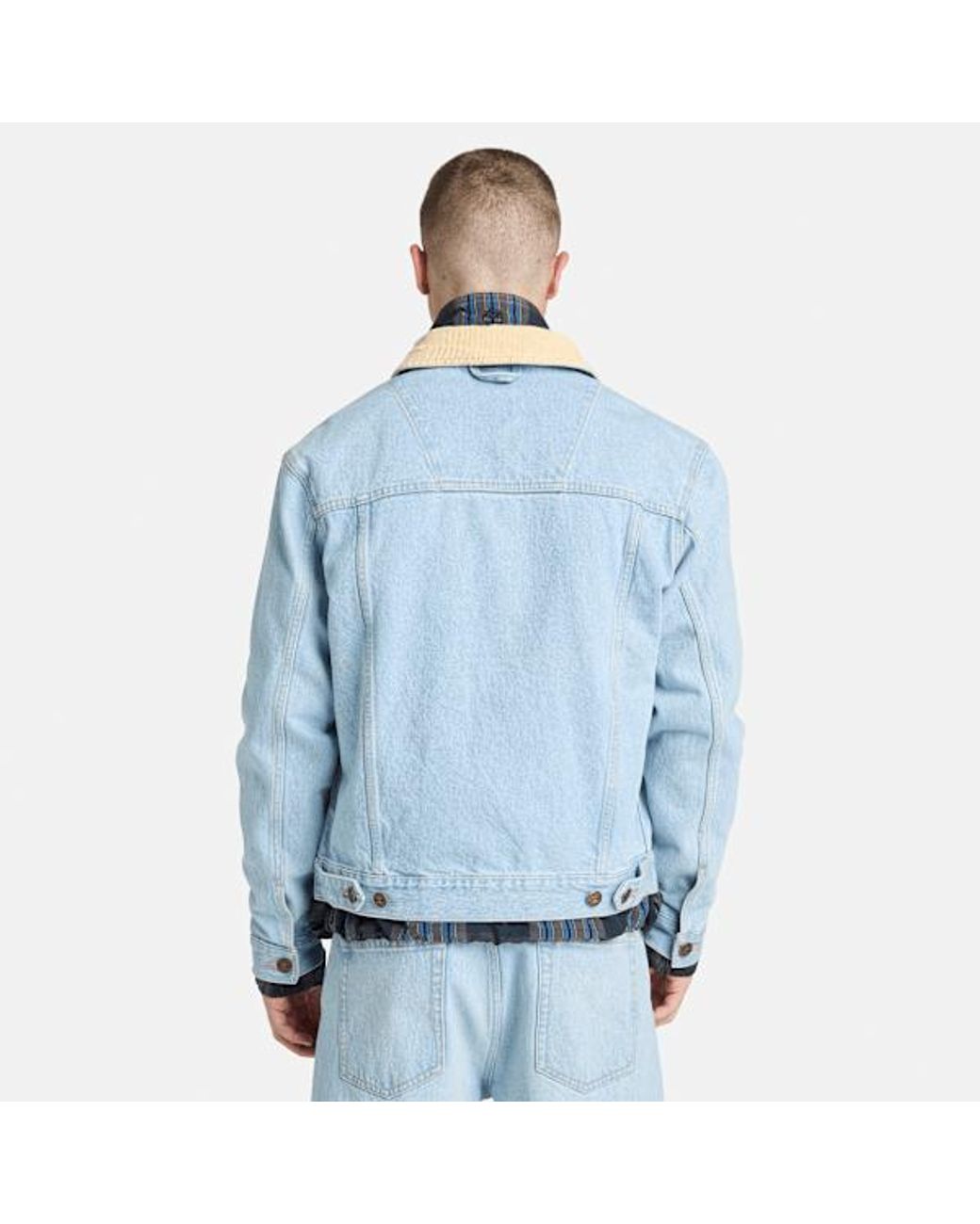 Timberland Blue All Gender Corduroy Collared Denim Jacket