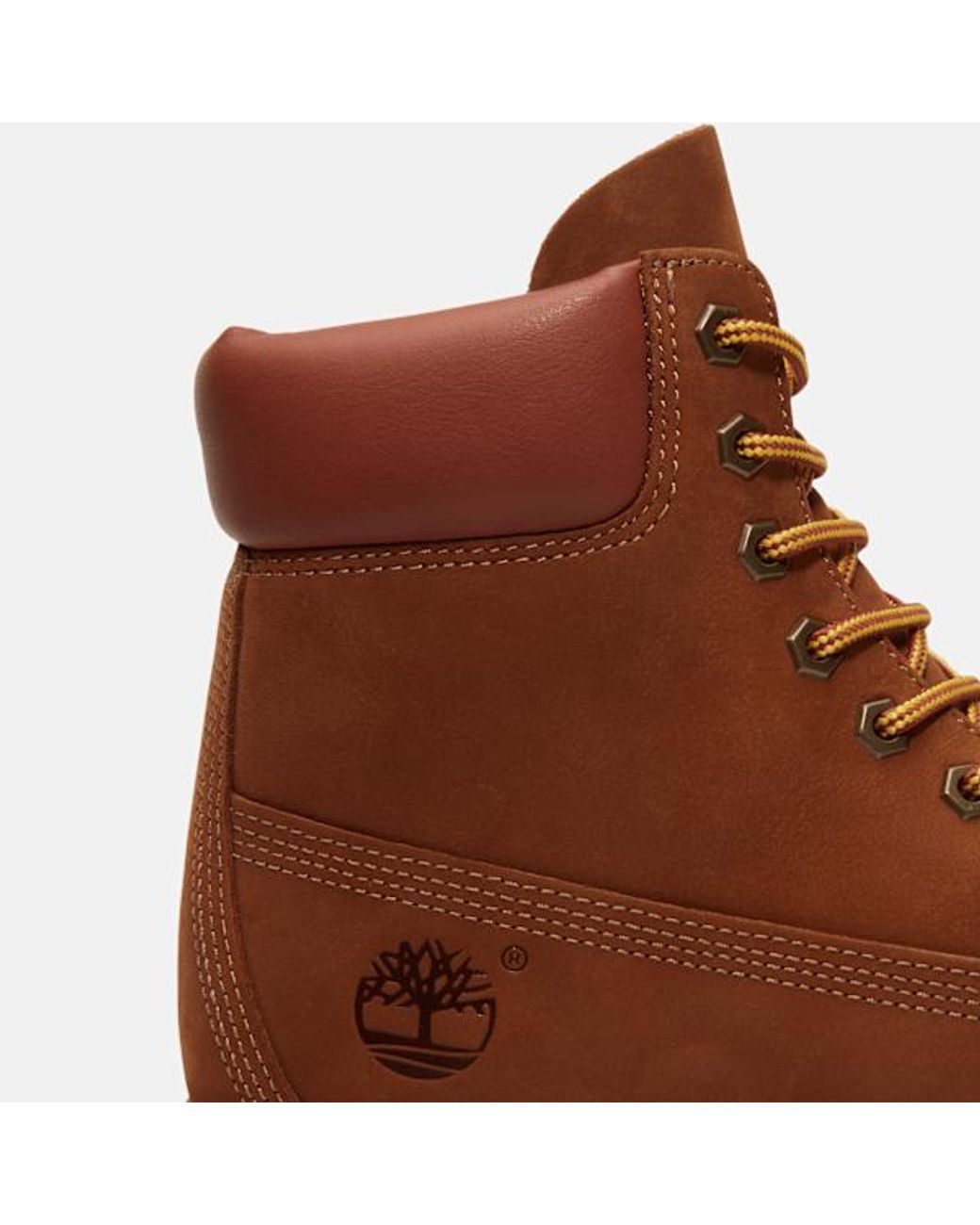 Timberland Brown 25 6-Inch Waterproof Boot For for men