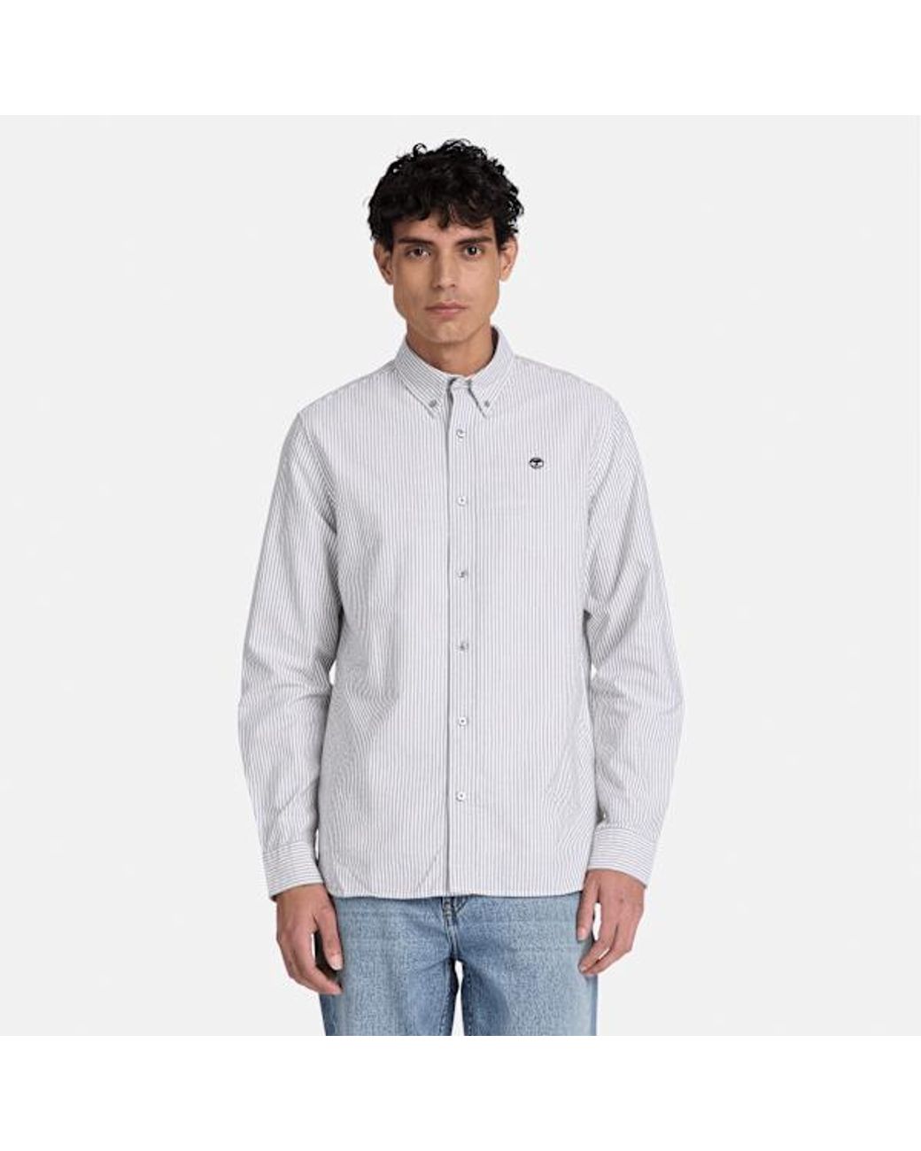 Timberland White Lake Warner Striped Oxford Shirt For for men