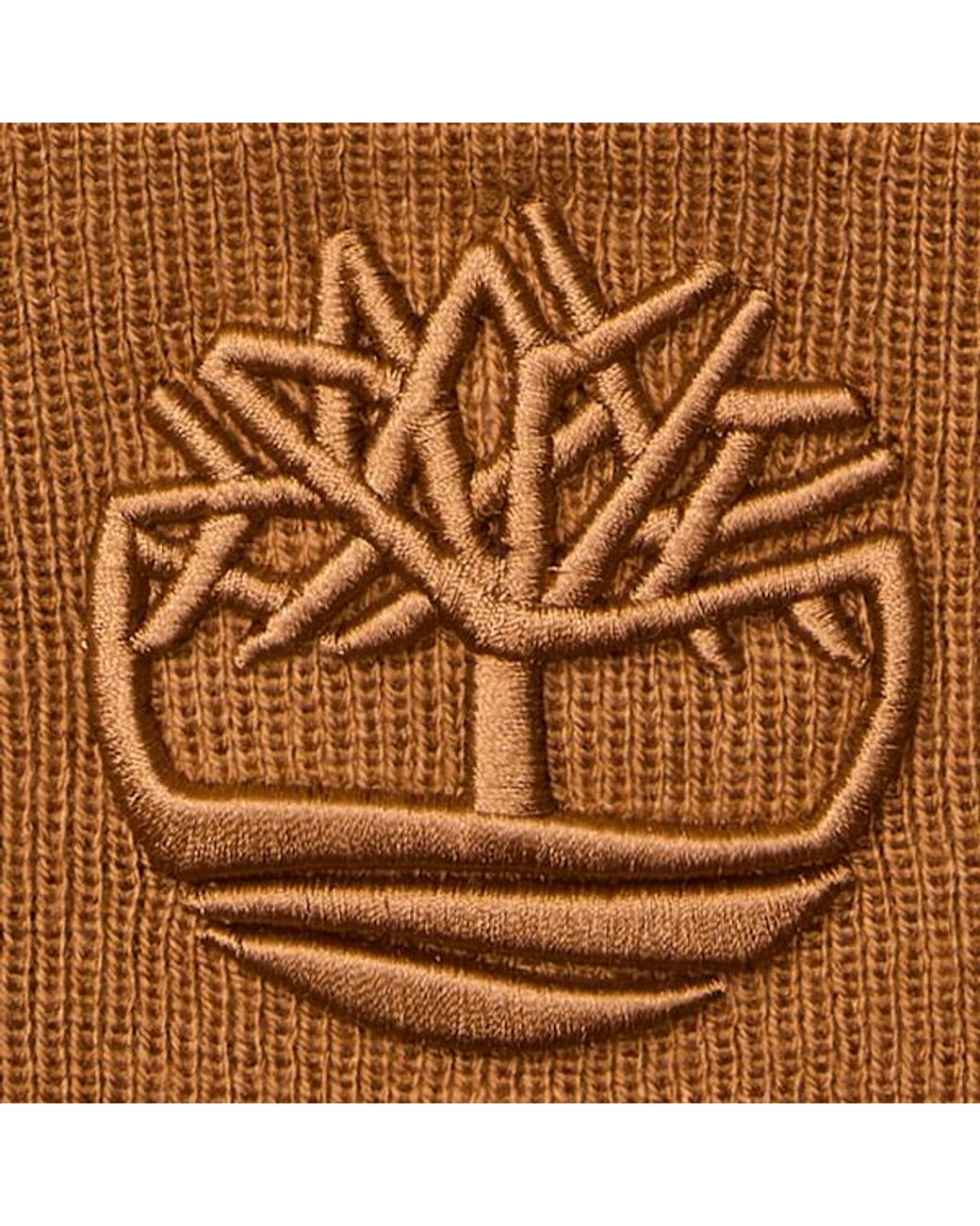 Timberland Brown 3d Embroidered Beanie In Yellow, Yellow for men