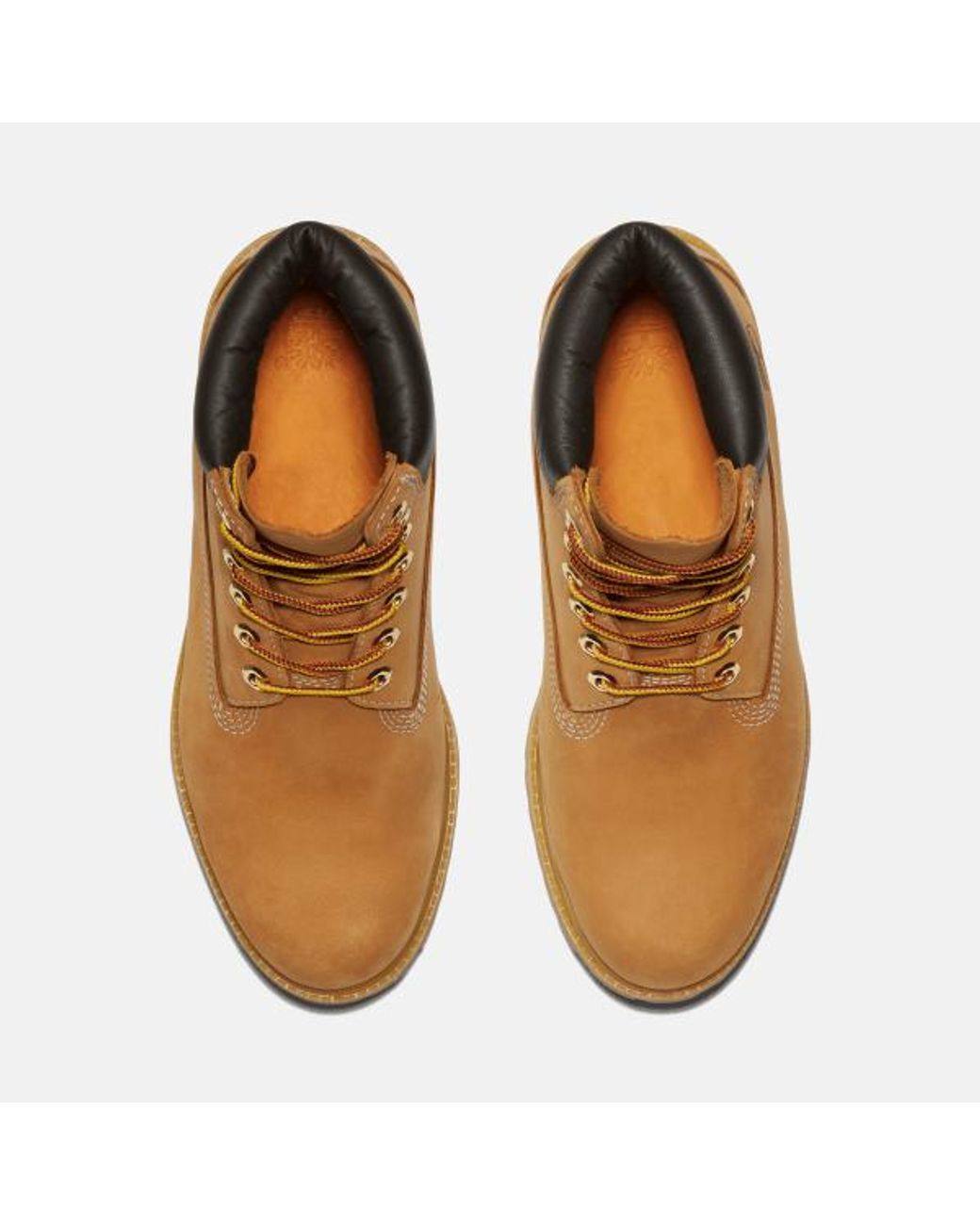 Timberland Brown Premium 6-Inch Waterproof Boot For for men