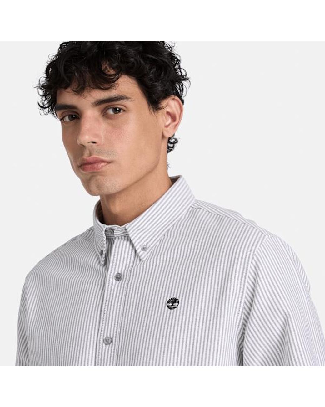 Timberland White Lake Warner Striped Oxford Shirt For for men