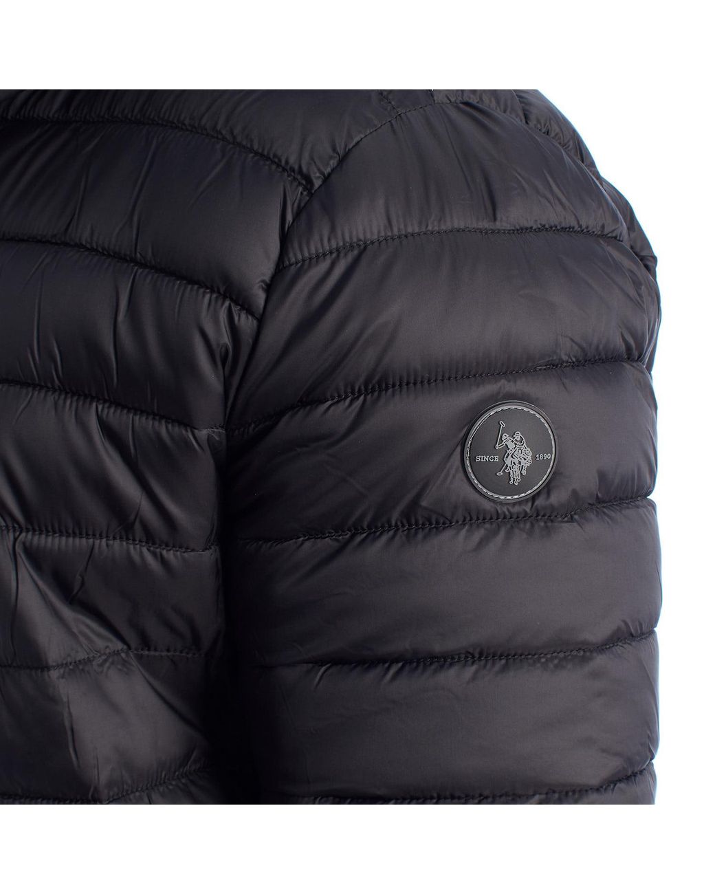 U.S. POLO ASSN. Black Padded Jacket With Hood Us42127019 for men