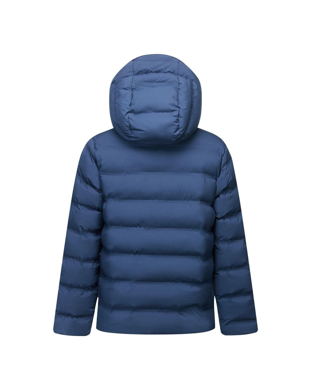 Regatta Blue Altoro Thermal Waterproof Jacket /Dusky) for men