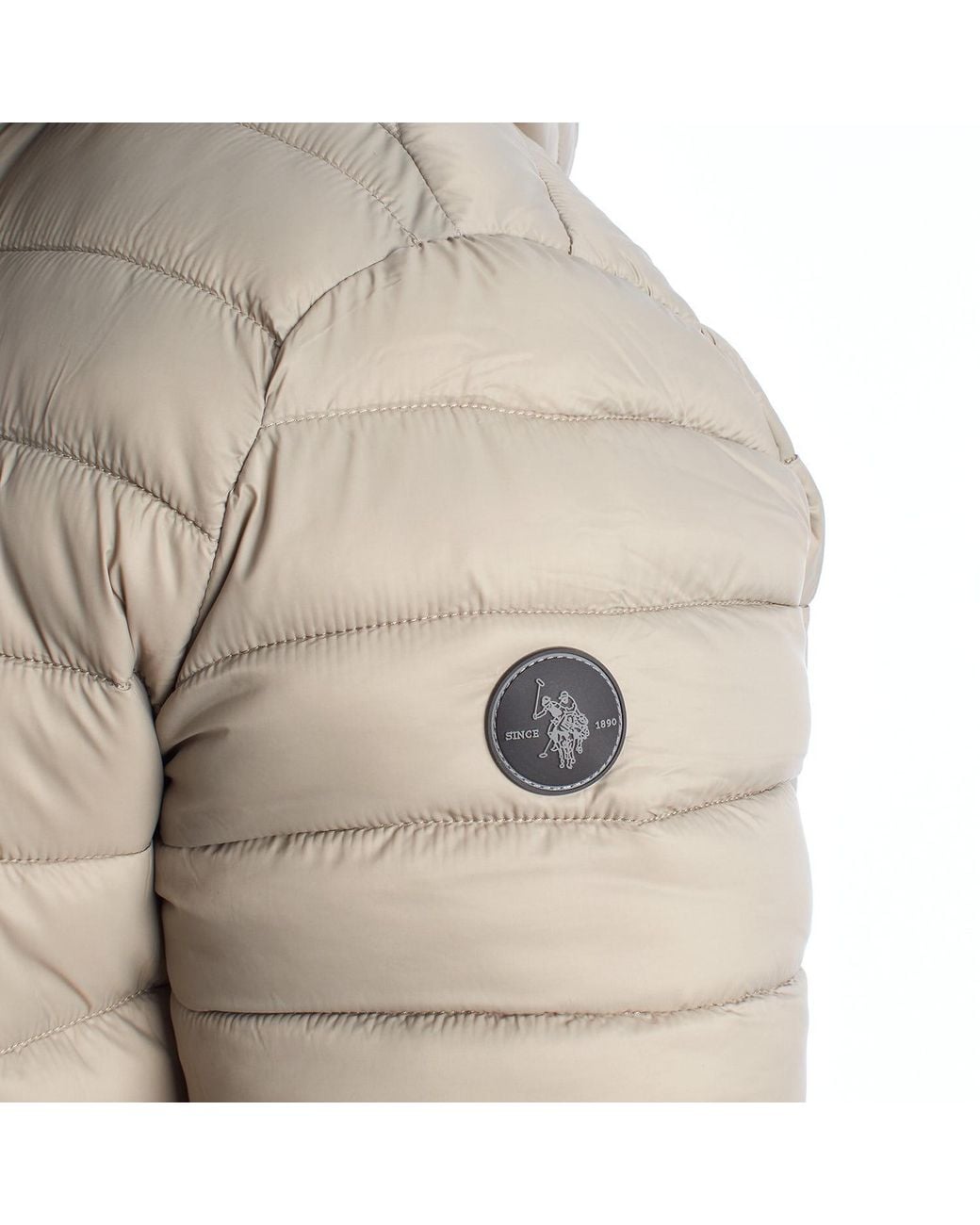 U.S. POLO ASSN. Brown Padded Jacket With Hood Us42127019 for men