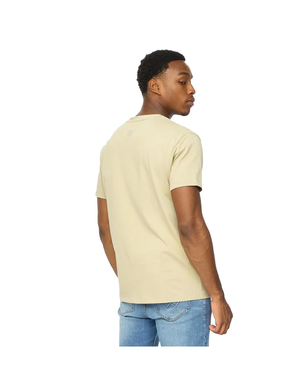 Duck and Cover Natural Trimlines Heavyweight T-Shirt (Light Sage) for men