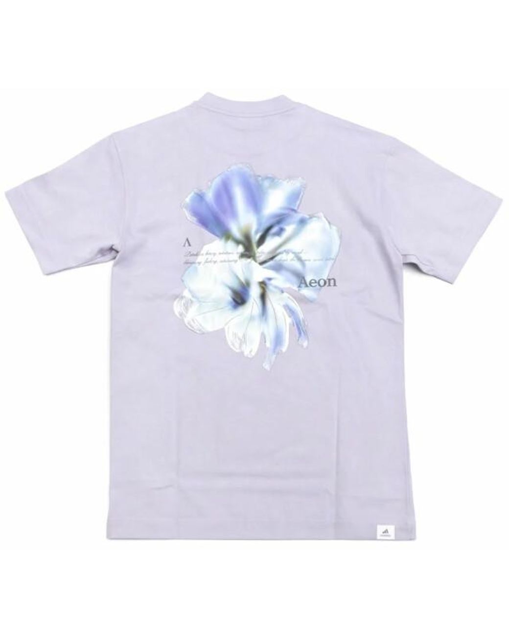 Aeden Fame Tee Thistle in het Blue voor heren