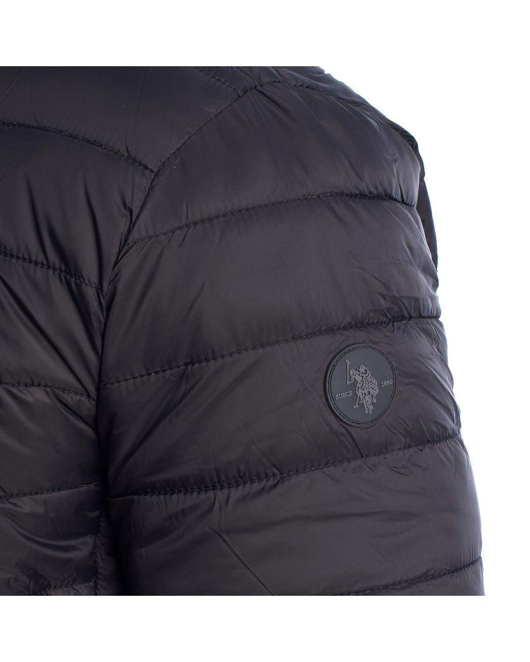 U.S. POLO ASSN. Blue Padded Jacket With Hood Us40127020 for men