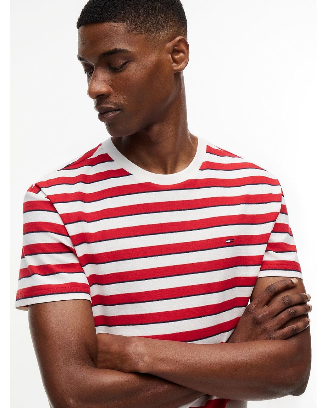 Tommy Hilfiger Blue Tommy Flag Stripe Jersey T-Shirt for men