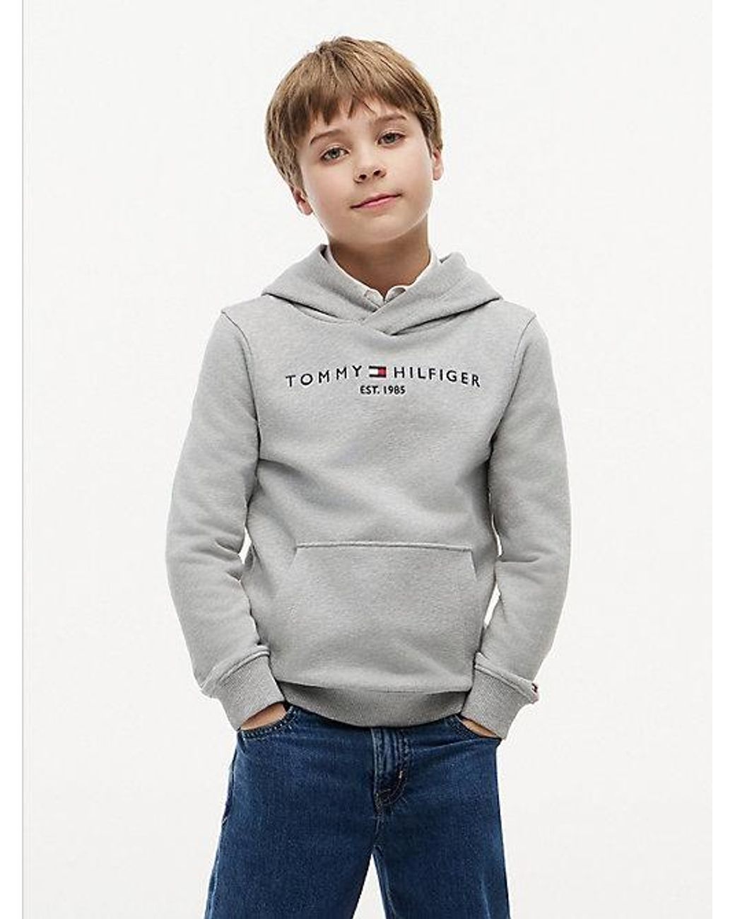 Tommy Hilfiger Gray Essential Logo Pure Cotton Hoody