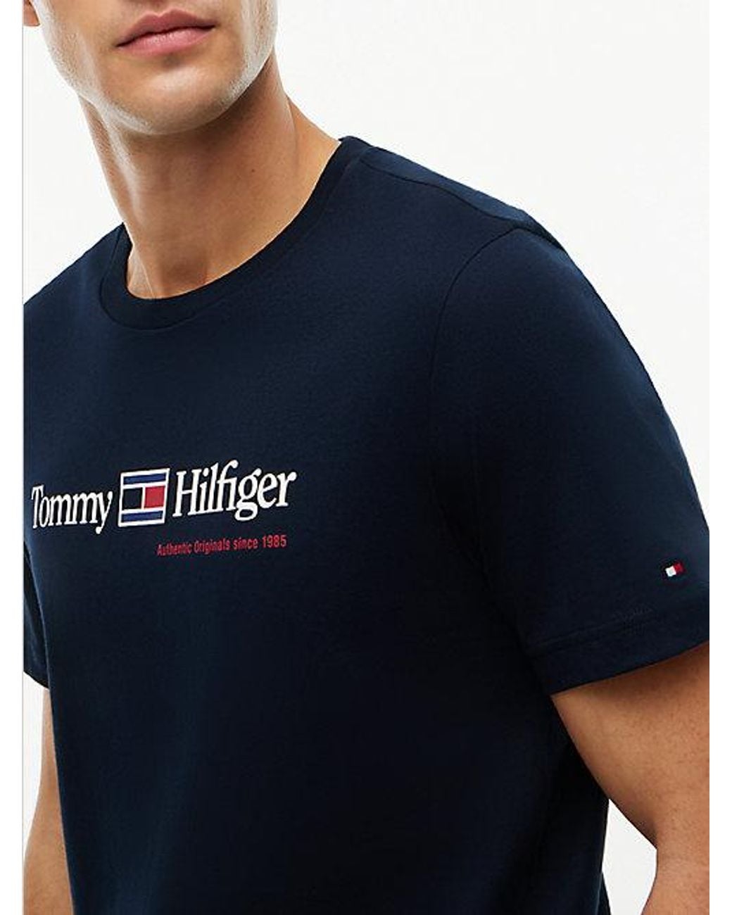 Tommy Hilfiger Blue Logo Jersey Crew Neck T-Shirt for men