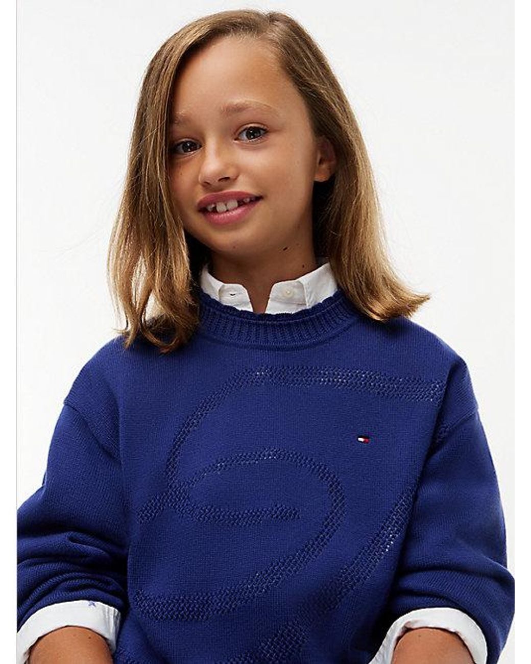 Tommy Hilfiger Blue Textured Back Logo Relaxed Jumper
