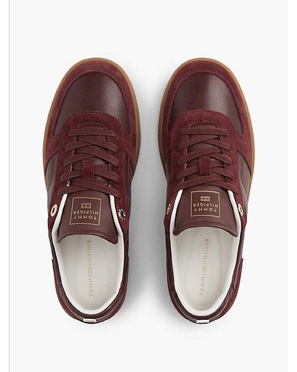 Tommy Hilfiger Brown Th Tribeca Sneaker Premium