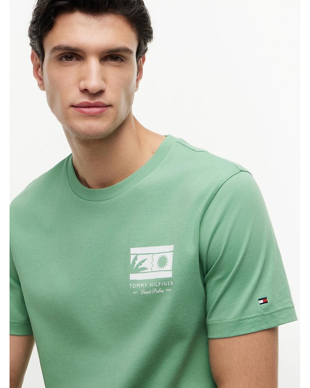 Tommy Hilfiger Green Logo Graphic Jersey Crew Neck T-Shirt for men