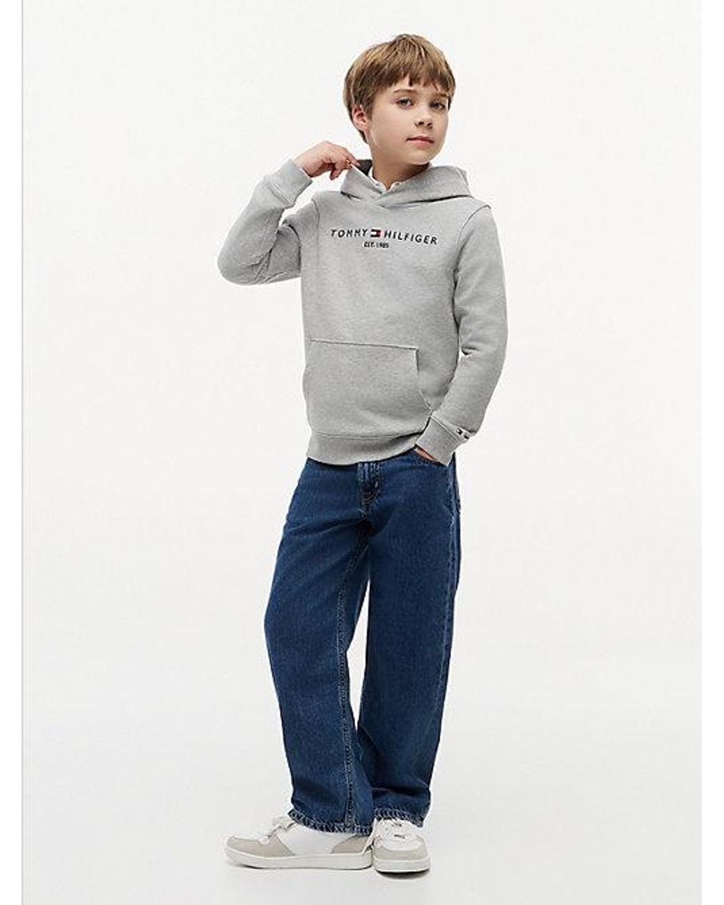 Tommy Hilfiger Gray Essential Logo Pure Cotton Hoody
