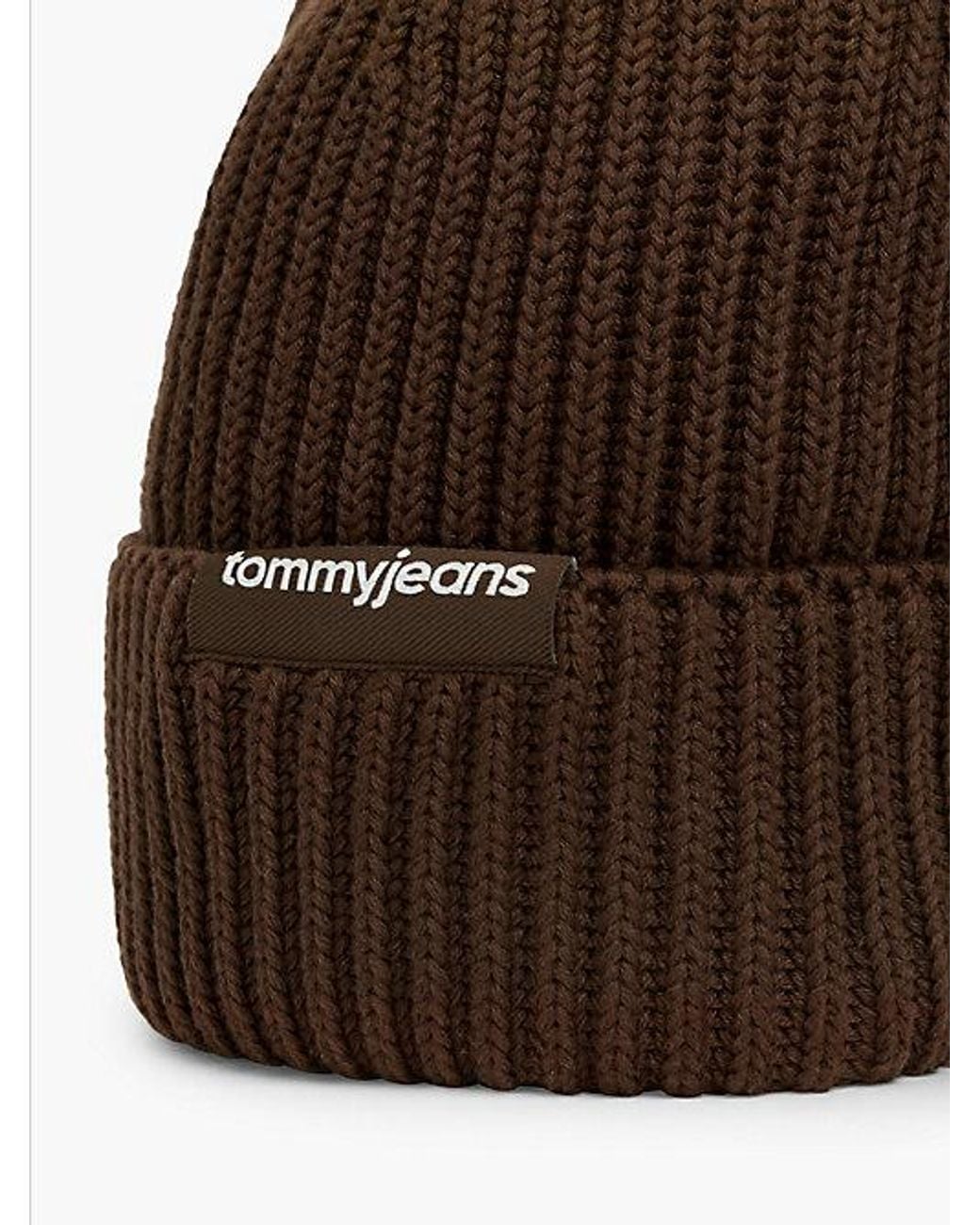 Tommy Hilfiger Brown Tommy Jeans Linear Logo Rib Knit Beanie for men