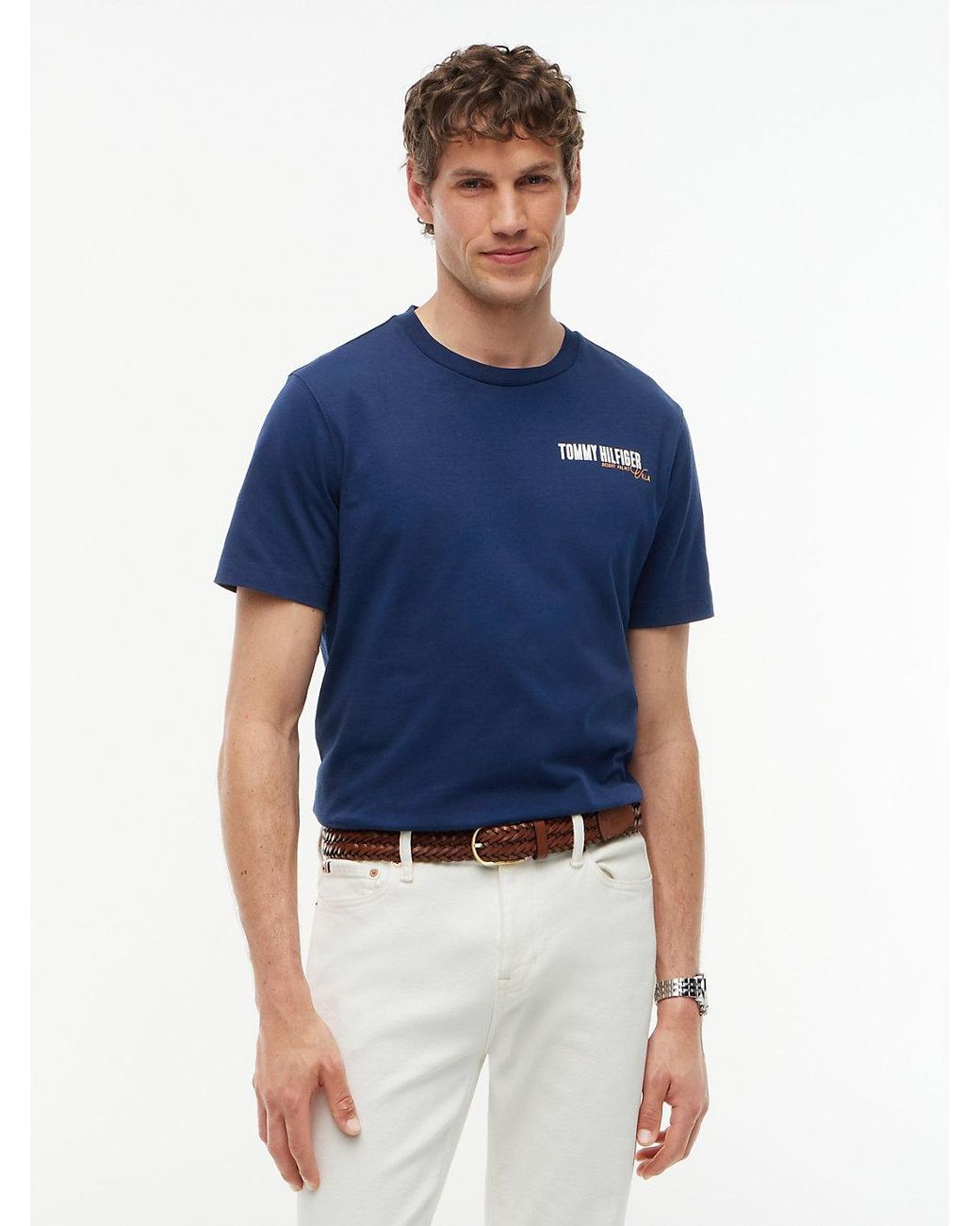 Tommy Hilfiger Blue Back Graphic Jersey T-Shirt for men