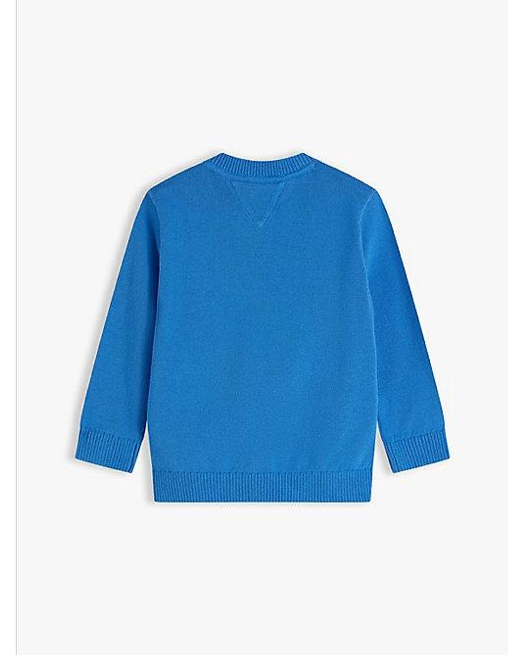 Tommy Hilfiger Blue Essential Intarsia Jumper