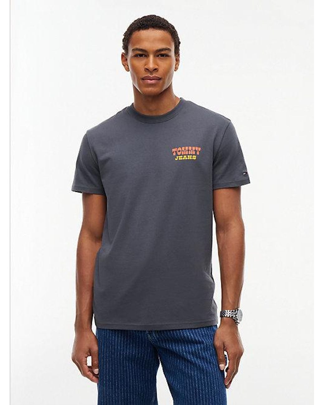 Tommy Hilfiger Blue Logo Jersey Crew Neck T-Shirt for men