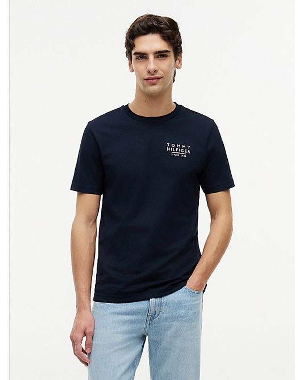 Tommy Hilfiger Blue Wavy Flag Back Graphic Jersey T-Shirt for men
