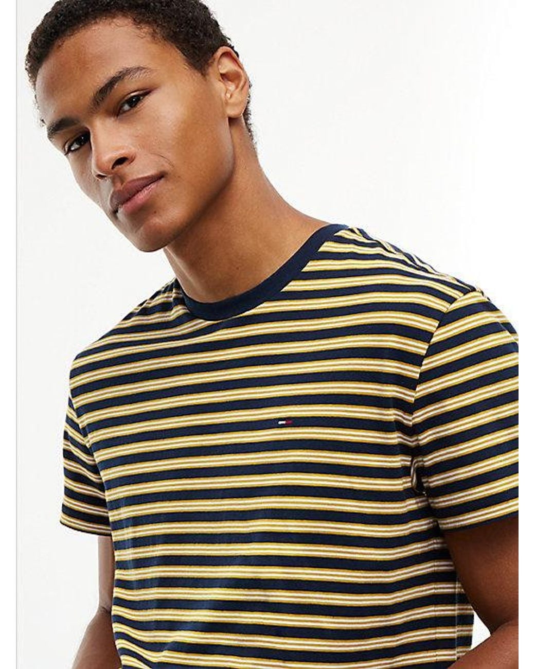 Tommy Hilfiger Blue Tommy Flag Stripe Jersey T-Shirt for men