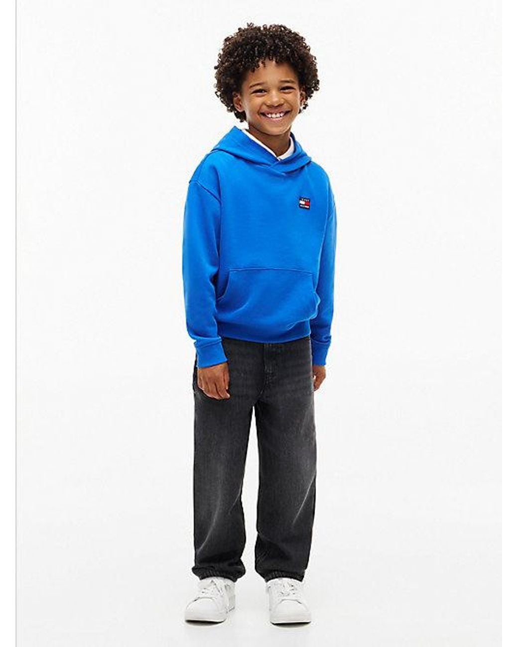 Tommy Hilfiger Blue Heritage Flag Logo Relaxed Terry Hoody