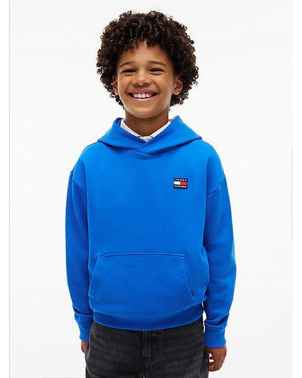Tommy Hilfiger Blue Heritage Flag Logo Relaxed Terry Hoody