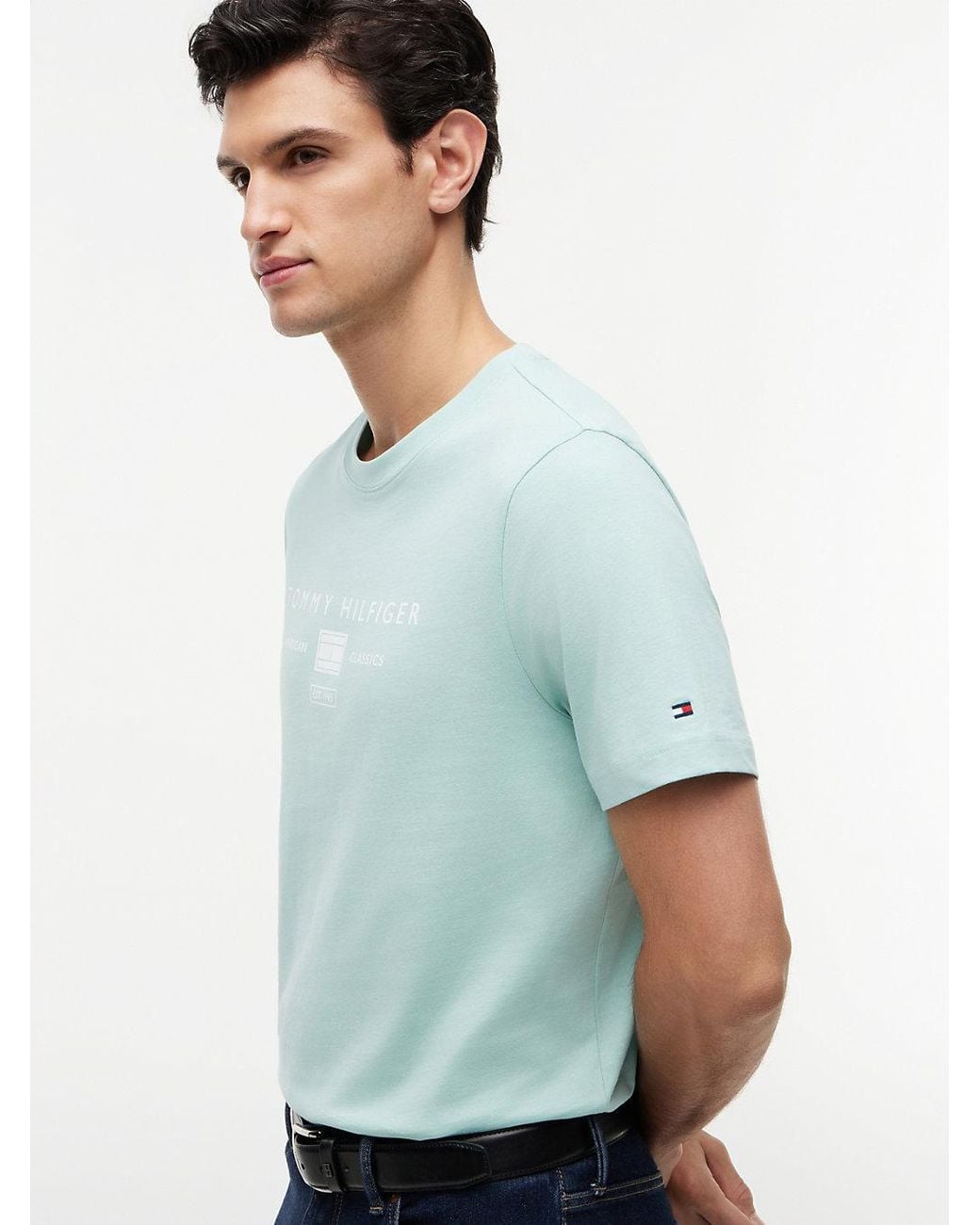 Tommy Hilfiger Green Jersey Logo T-Shirt for men