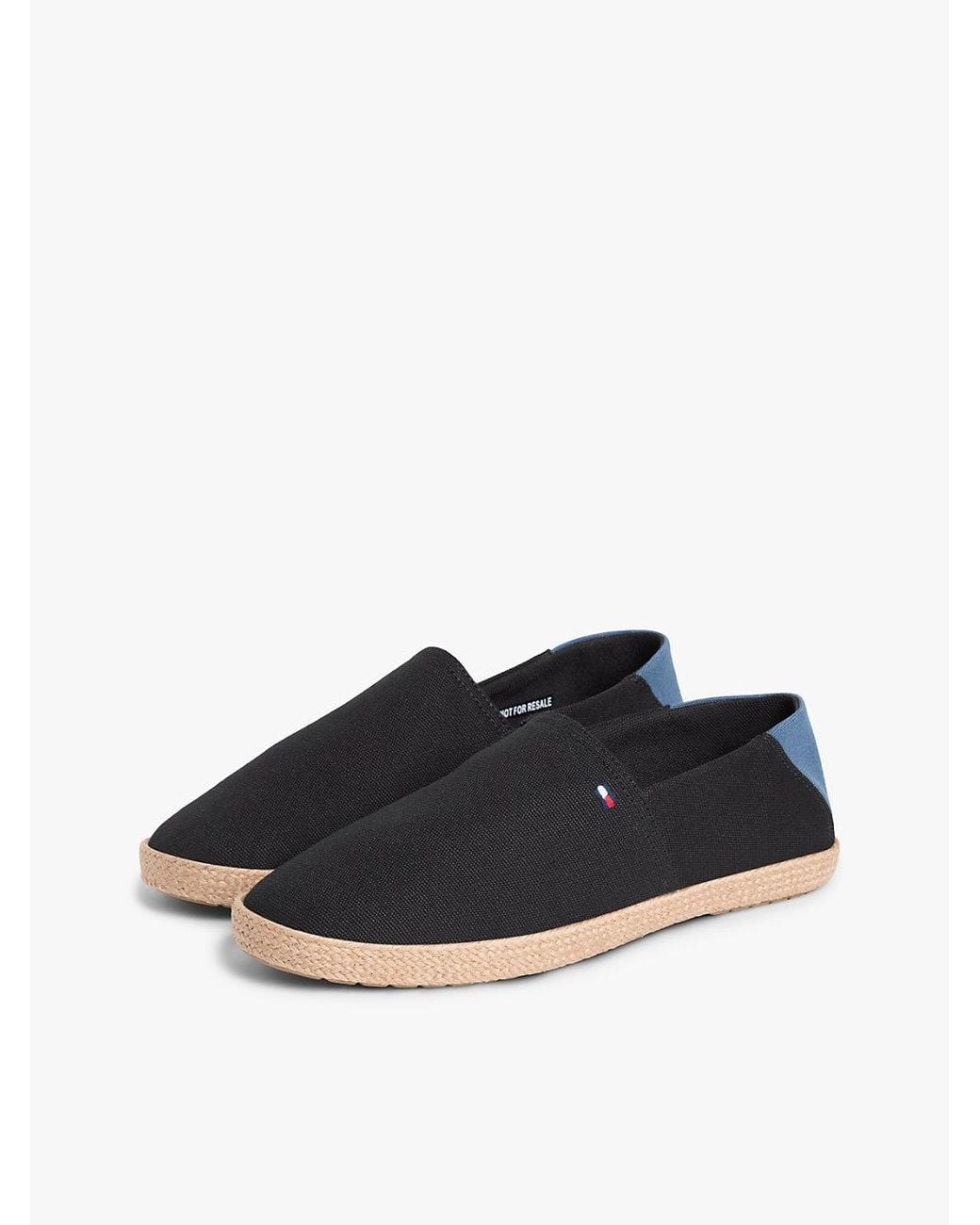 Tommy Hilfiger Blue Flag Embroidery Canvas Espadrilles for men
