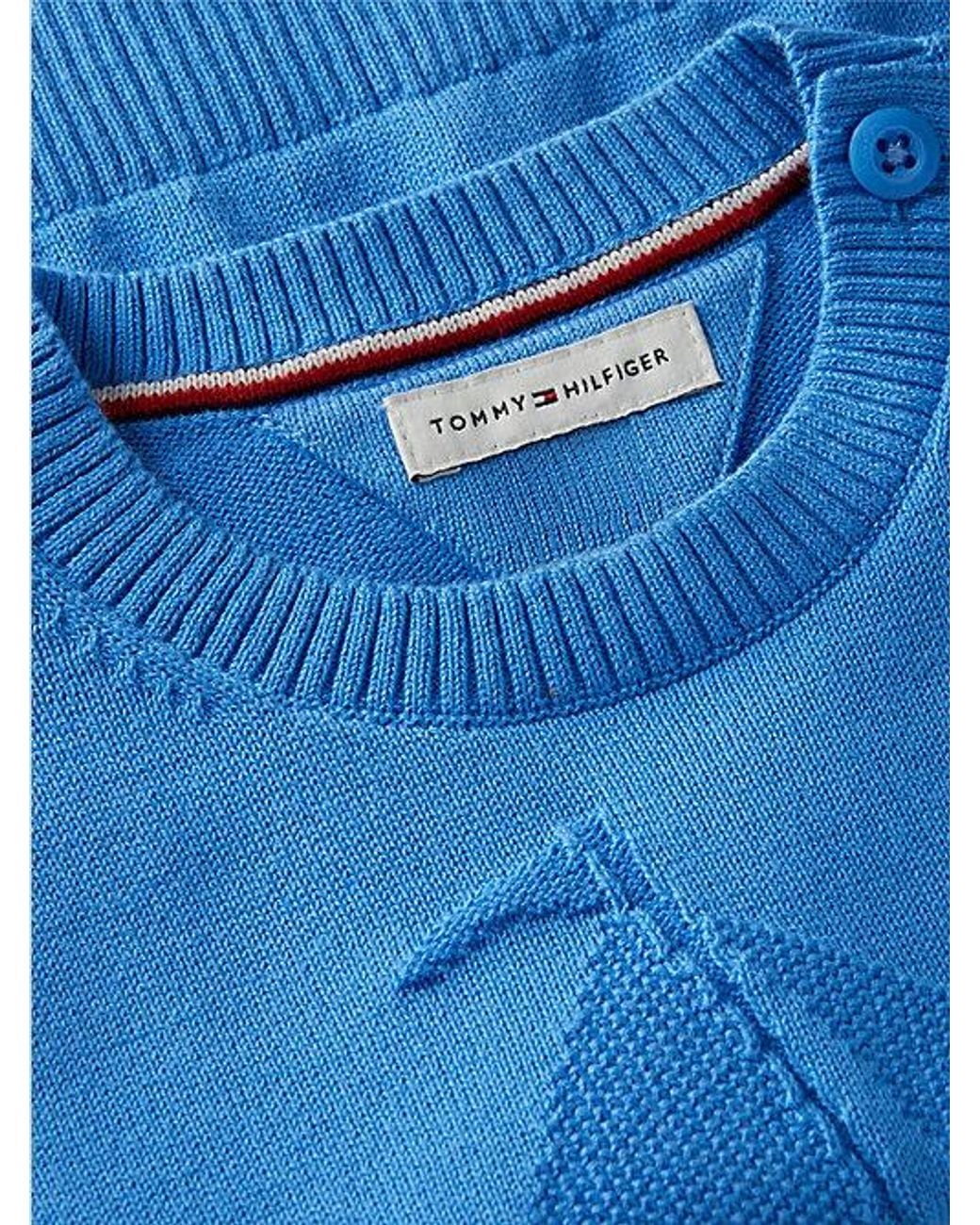 Tommy Hilfiger Blue Essential Intarsia Jumper
