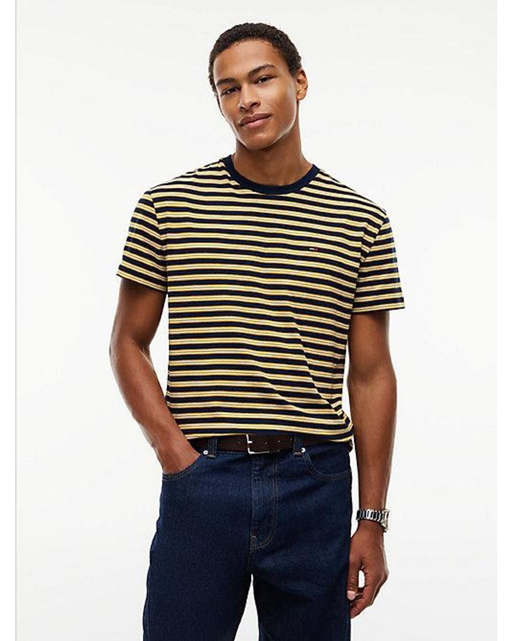 Tommy Hilfiger Blue Tommy Flag Stripe Jersey T-Shirt for men